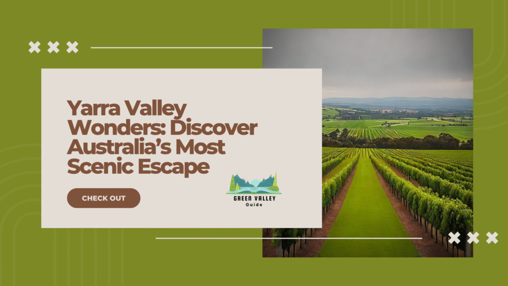 Yarra Valley Wonders: Discover Australia’s Most Scenic Escape