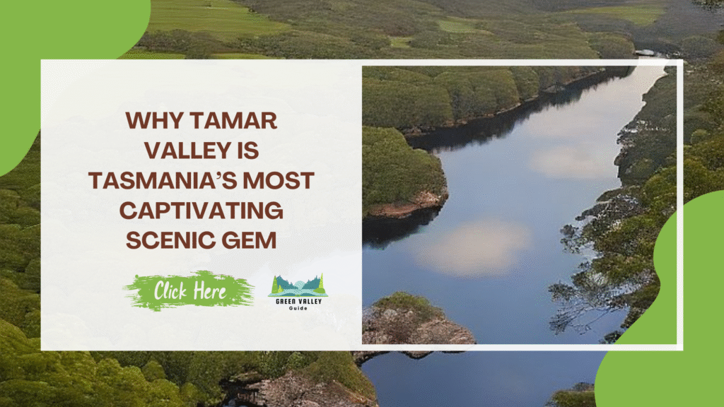 Why Tamar Valley Is Tasmania’s Most Captivating Scenic Gem