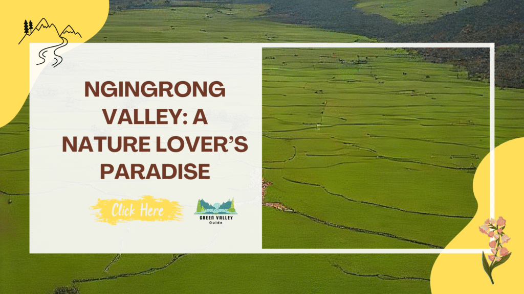 Ngingrong Valley: A Nature Lover’s Paradise